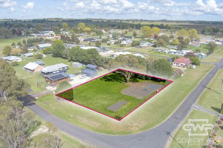66 Hardinge Street, South Guyra NSW 2365
