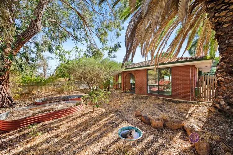 Second view of Homely house listing, 16 Aldington Street, Maddington WA 6109