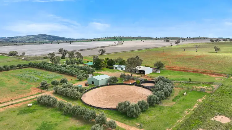Main view of Homely rural property listing, 259 Racecourse Road, Somerton NSW 2340