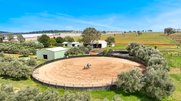 Second view of Homely rural property listing, 259 Racecourse Road, Somerton NSW 2340