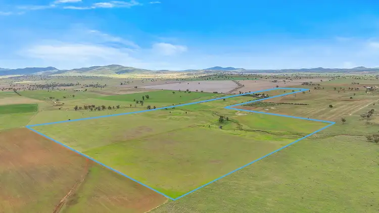 Fourth view of Homely rural property listing, 259 Racecourse Road, Somerton NSW 2340