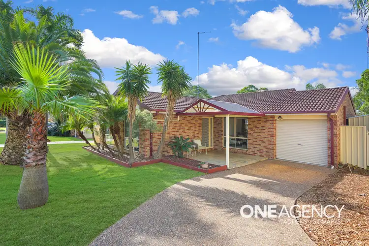 61 Pindari Drive, South Penrith NSW 2750