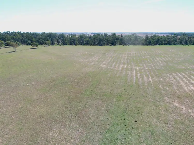 Second view of Homely rural property listing, 5R Whylandra Crossing Road, Dubbo NSW 2830