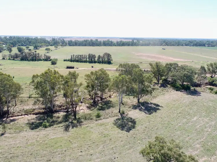 Fifth view of Homely rural property listing, 5R Whylandra Crossing Road, Dubbo NSW 2830