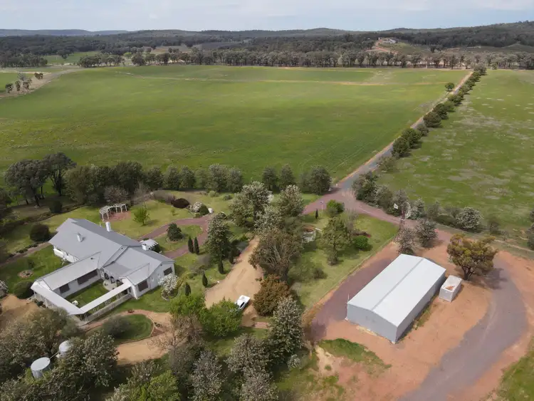 679 Adelargo Road, Grenfell NSW 2810