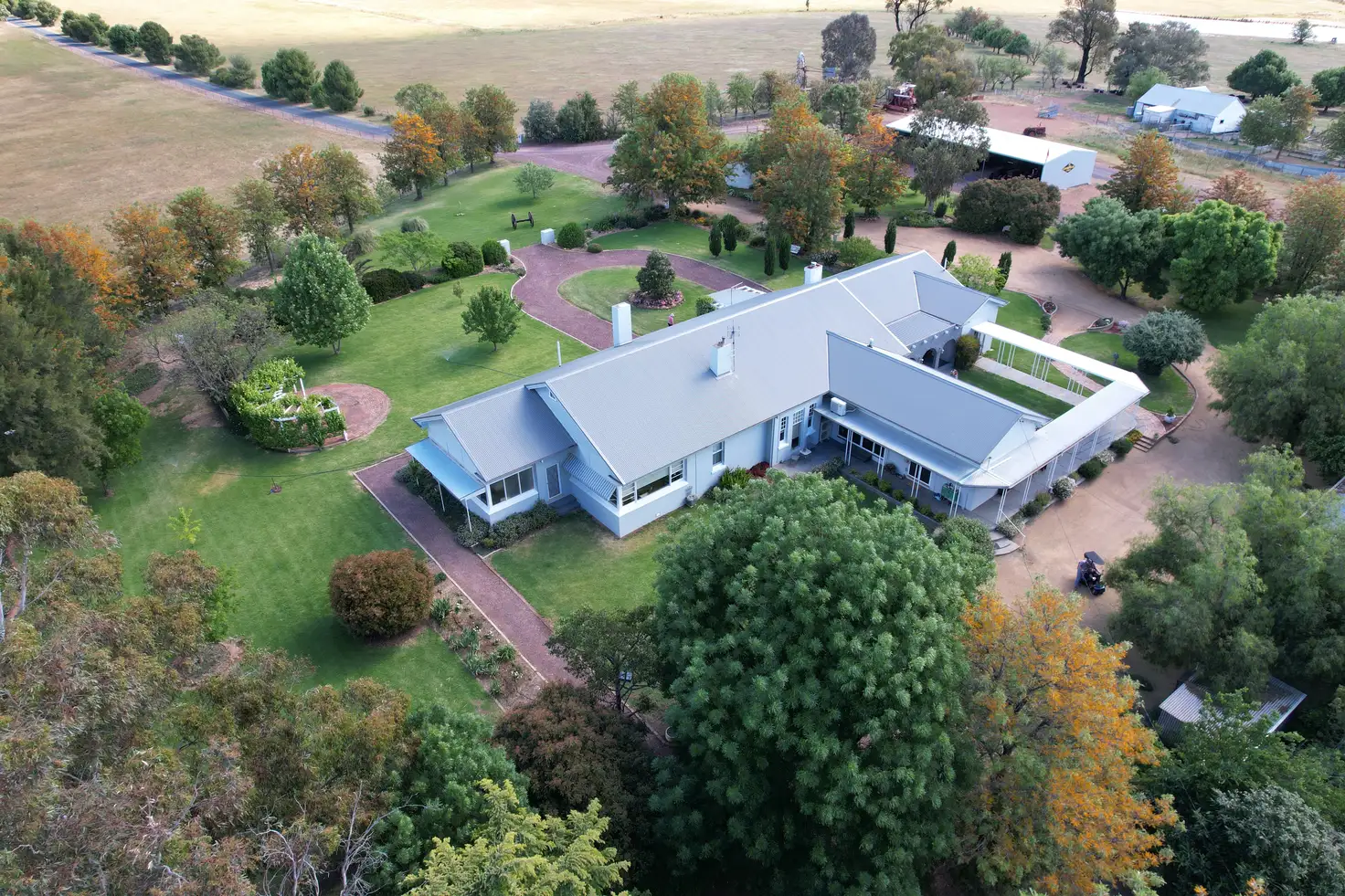 Main view of Homely rural property listing, 679 Adelargo Road, Grenfell NSW 2810