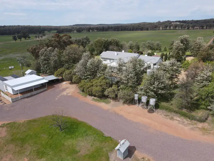 Fourth view of Homely rural property listing, 679 Adelargo Road, Grenfell NSW 2810