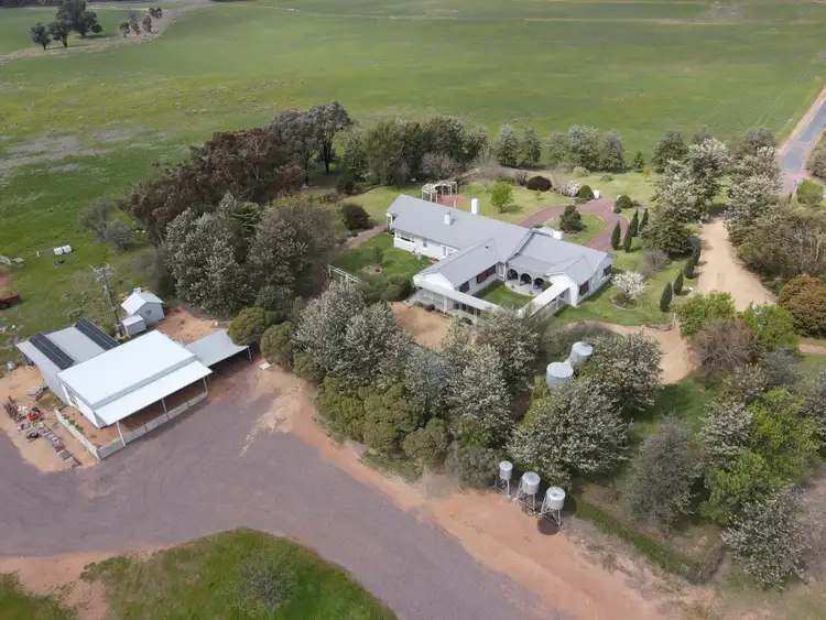 Fifth view of Homely rural property listing, 679 Adelargo Road, Grenfell NSW 2810