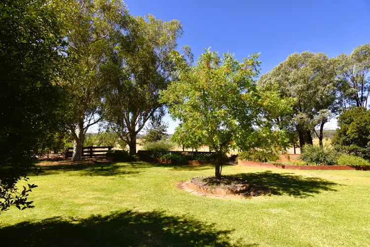 Fifth view of Homely rural property listing, 679 Adelargo Road, Grenfell NSW 2810