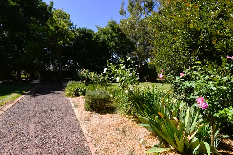 Sixth view of Homely rural property listing, 679 Adelargo Road, Grenfell NSW 2810