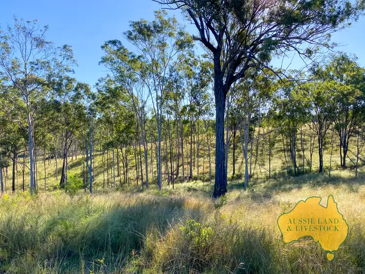Fifth view of Homely rural property listing, 1308 Lochaber Road, Eidsvold QLD 4627