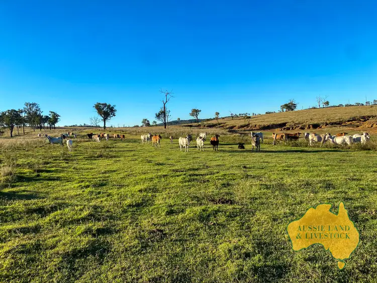 Seventh view of Homely rural property listing, 1308 Lochaber Road, Eidsvold QLD 4627