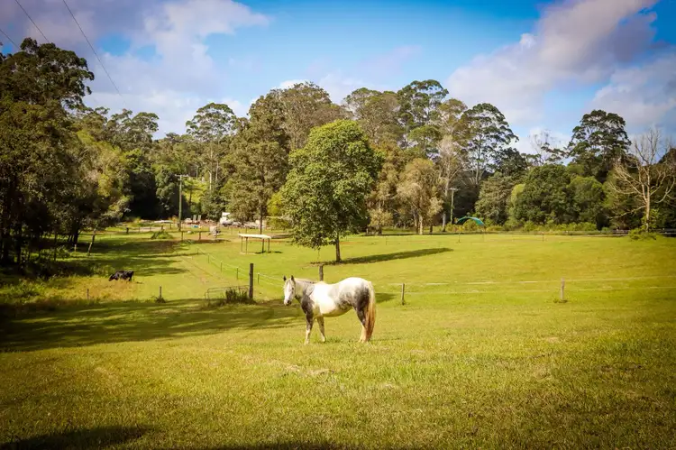 Sixth view of Homely rural property listing, 89 Black Pinch Road, Pomona QLD 4568