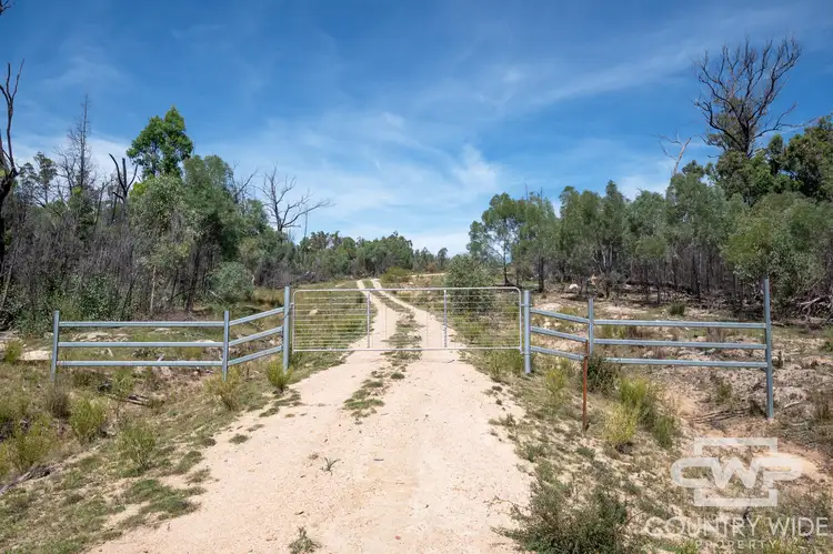 Second view of Homely rural property listing, LOT 101, 1768 Silent Grove Road, Torrington NSW 2371