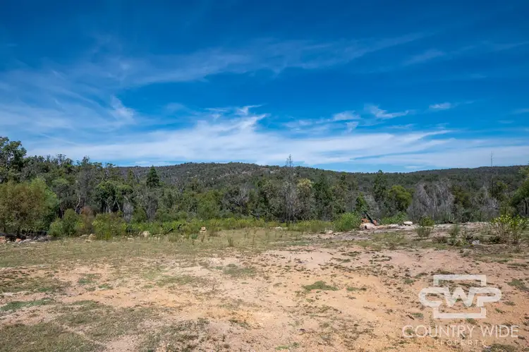 Third view of Homely rural property listing, LOT 101, 1768 Silent Grove Road, Torrington NSW 2371