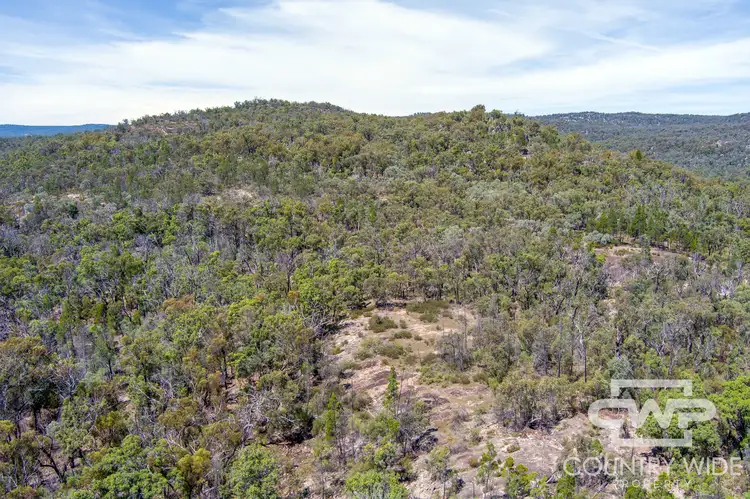 Fifth view of Homely rural property listing, LOT 101, 1768 Silent Grove Road, Torrington NSW 2371