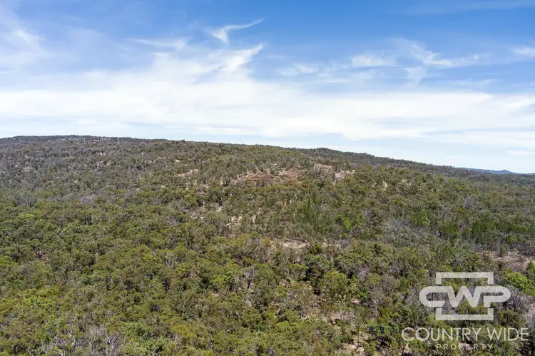 Sixth view of Homely rural property listing, LOT 101, 1768 Silent Grove Road, Torrington NSW 2371