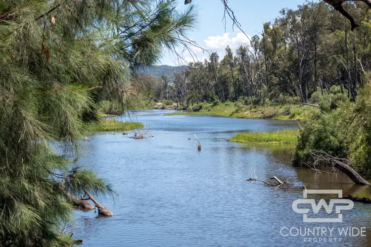 Main view of Homely rural property listing, LOT 63, 9699 Bruxner Way, Bonshaw NSW 2361