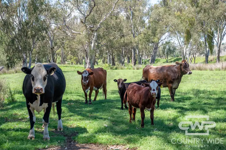 Second view of Homely rural property listing, LOT 63, 9699 Bruxner Way, Bonshaw NSW 2361