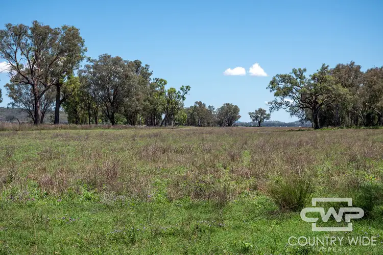 Fourth view of Homely rural property listing, LOT 63, 9699 Bruxner Way, Bonshaw NSW 2361