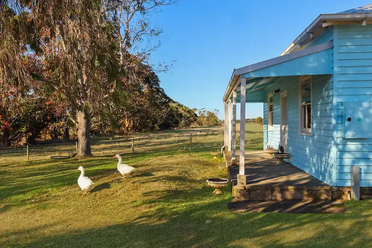 Second view of Homely rural property listing, 4065 Cobden-Warrnambool Road, Allansford VIC 3277