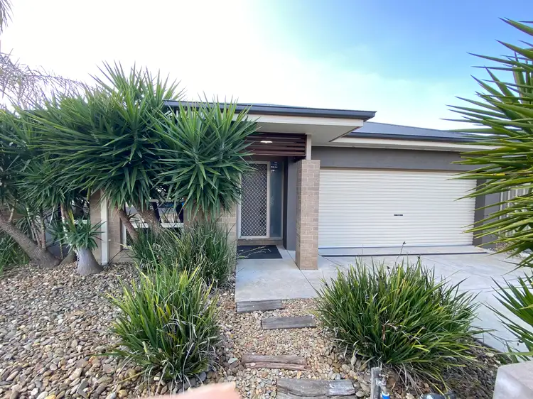 16 Castleton Street, Wodonga VIC 3690