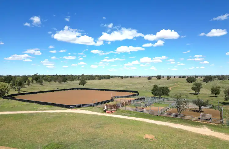 Fourth view of Homely rural property listing, Marionvale, Surat Yuleba Road, Surat QLD 4417