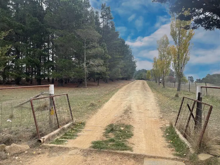 Second view of Homely rural property listing, 467 Caddigat Road, Adaminaby NSW 2629