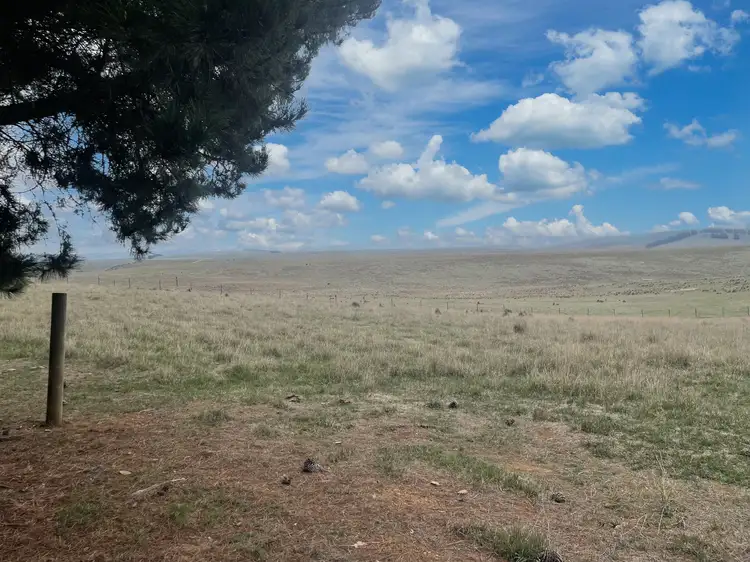 Fifth view of Homely rural property listing, 467 Caddigat Road, Adaminaby NSW 2629