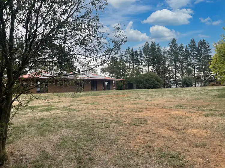 Sixth view of Homely rural property listing, 467 Caddigat Road, Adaminaby NSW 2629