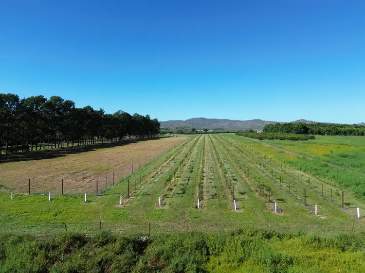 Third view of Homely rural property listing, "Del Rio" 61 Sandy Creek Road, Dimbulah QLD 4872