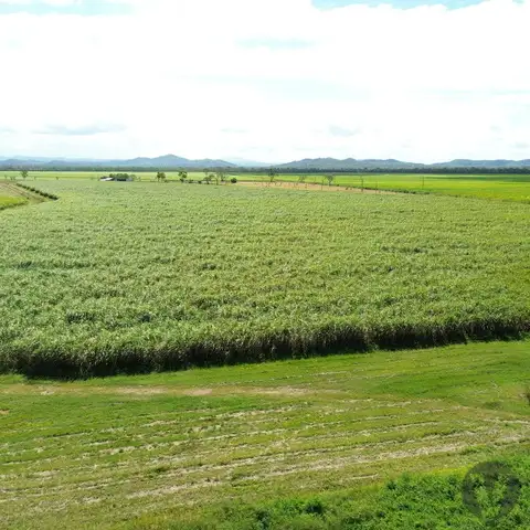 Seventh view of Homely rural property listing, Address available on request
