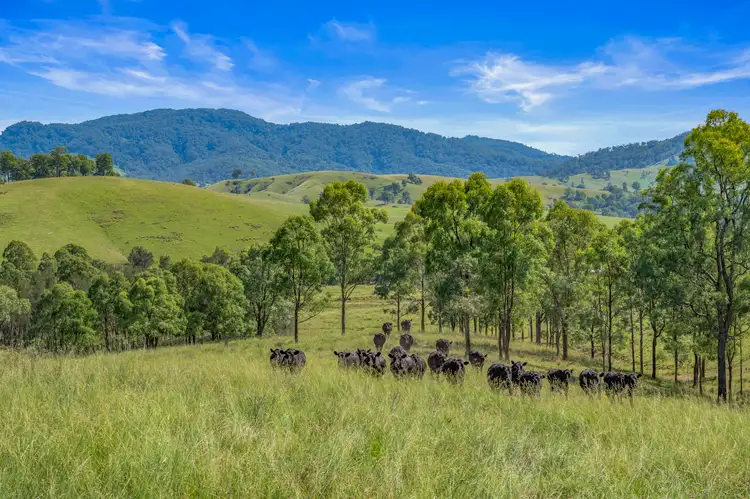 Sixth view of Homely rural property listing, COOMALGAH | 2/575 Westbrook Road, Singleton NSW 2330