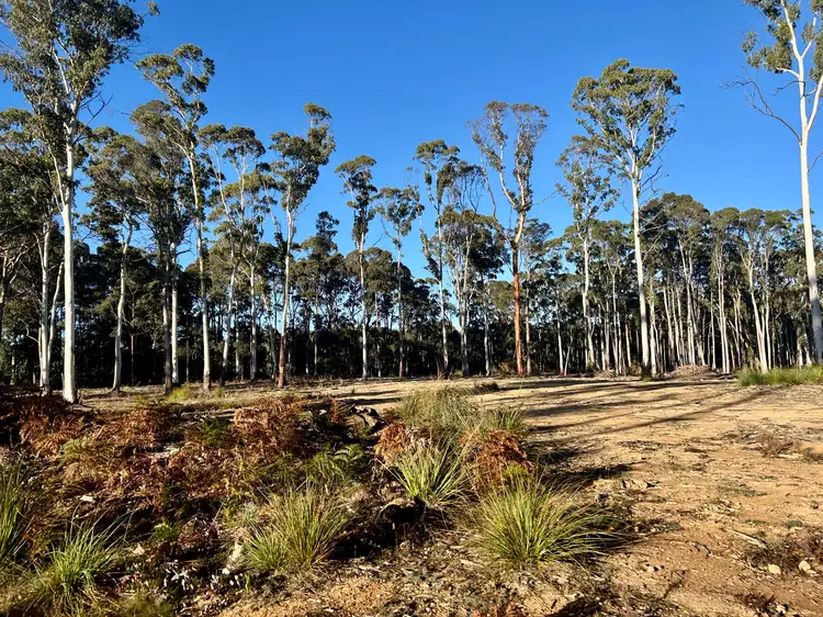 Second view of Homely land listing, 175 Blighs Road, Trentham VIC 3458