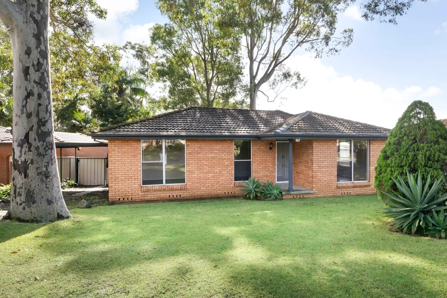Main view of Homely house listing, 19 Evelyn Crescent, Thornton NSW 2322