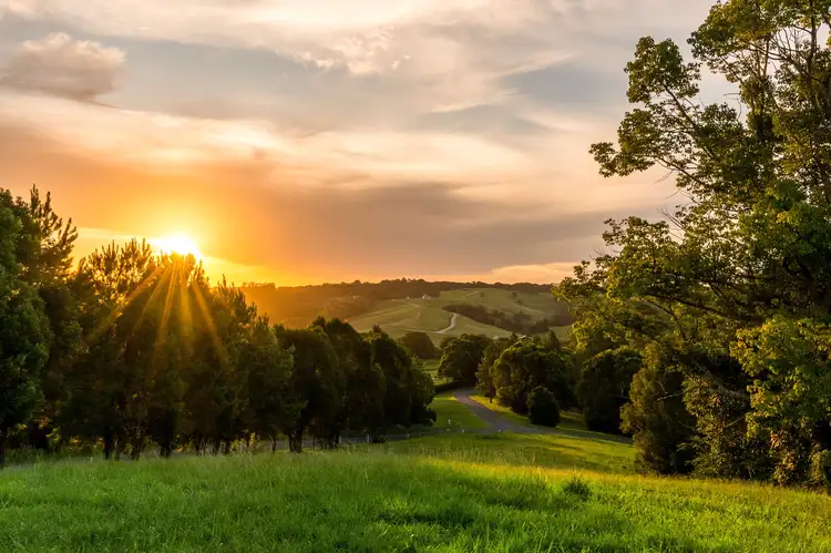 111 Fowlers Lane, Bangalow NSW 2479