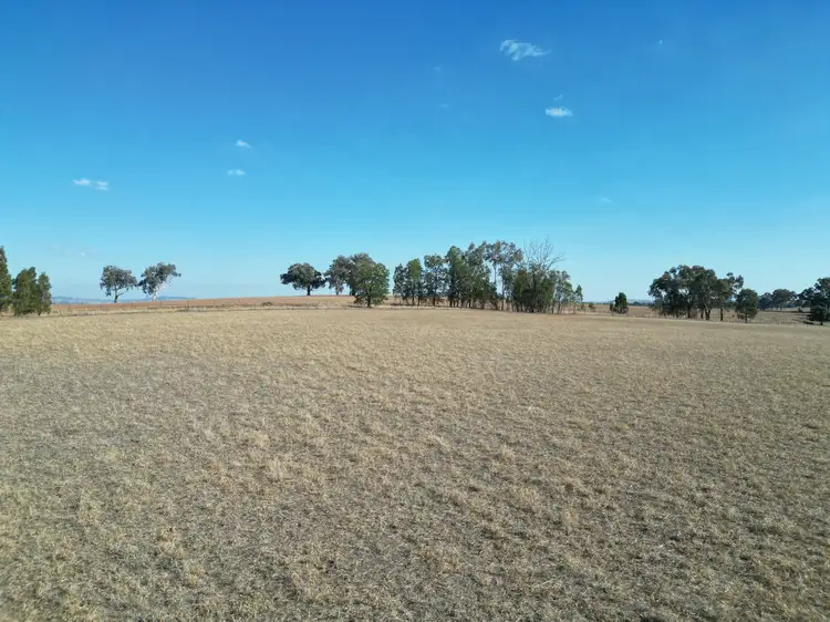 Third view of Homely rural property listing, 146 Greenwood Road, Gerogery NSW 2642