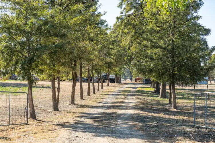 Second view of Homely rural property listing, 46 Gillmans Road, Cornishtown VIC 3683