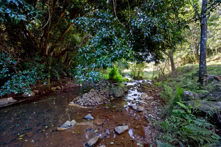 Fifth view of Homely rural property listing, 103 Cumbalum Road, Cumbalum NSW 2478