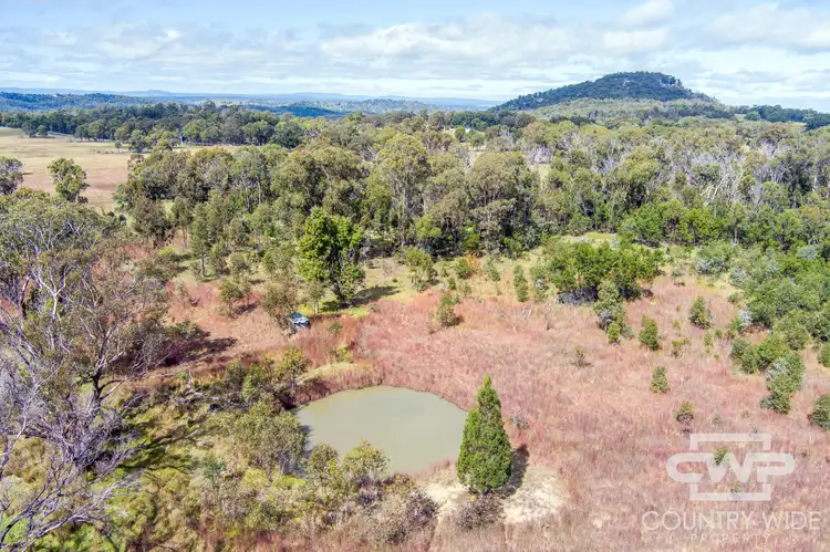 Main view of Homely land listing, LOT 11, 2530 Torrington Road, Torrington NSW 2371