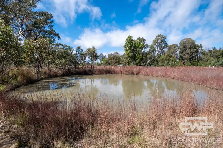 Third view of Homely land listing, LOT 11, 2530 Torrington Road, Torrington NSW 2371