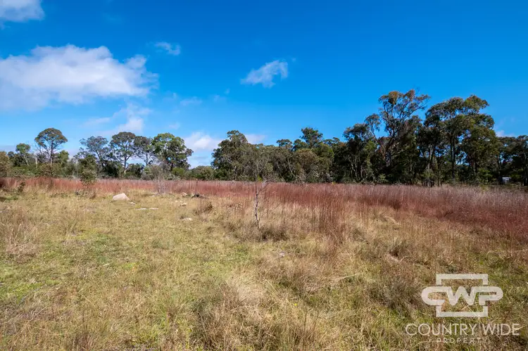 Fourth view of Homely land listing, LOT 11, 2530 Torrington Road, Torrington NSW 2371