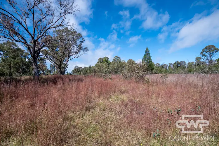 Fifth view of Homely land listing, LOT 11, 2530 Torrington Road, Torrington NSW 2371