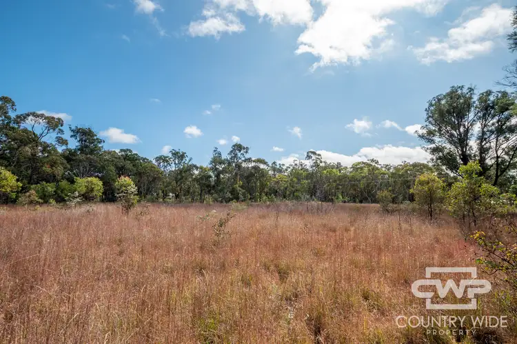 Sixth view of Homely land listing, LOT 11, 2530 Torrington Road, Torrington NSW 2371
