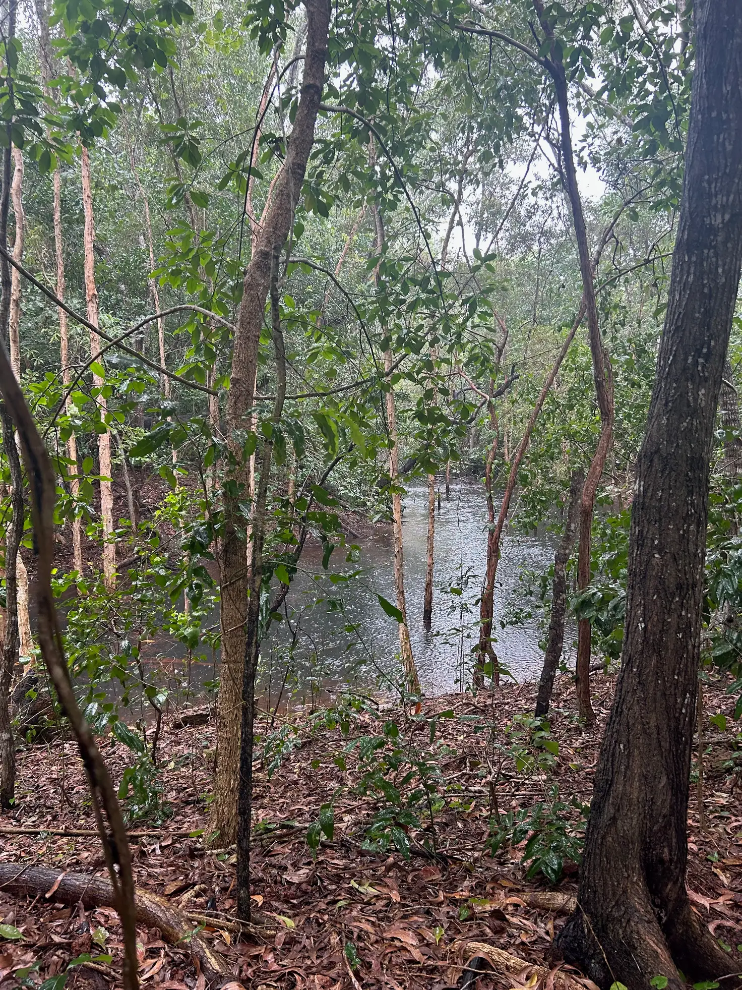 Main view of Homely land listing, 21 Marege Drive, Dundee Beach NT 840