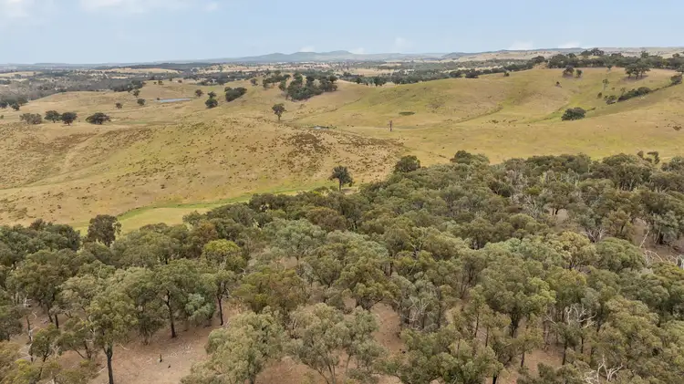 Fourth view of Homely rural property listing, 600 Seymour-Pyalong Road, Hilldene VIC 3660