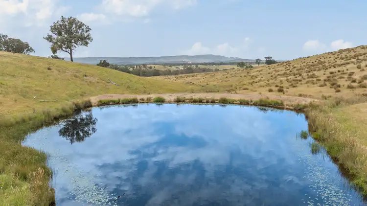 Seventh view of Homely rural property listing, 600 Seymour-Pyalong Road, Hilldene VIC 3660