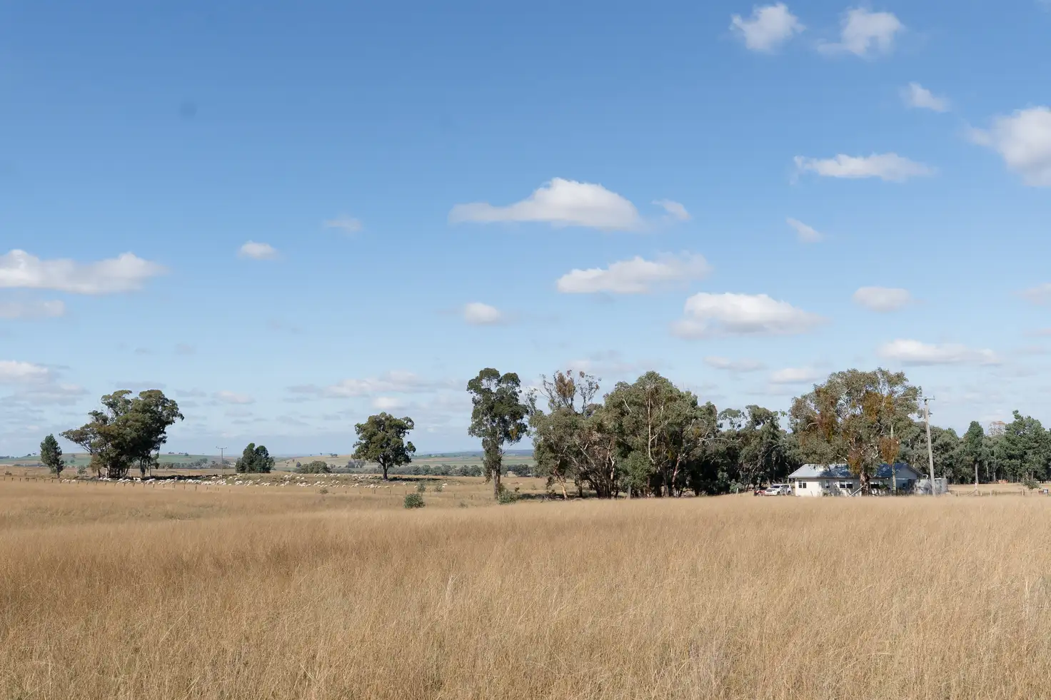 Main view of Homely rural property listing, "Glen Alvin" & "Lockyer", Elong Elong NSW 2831