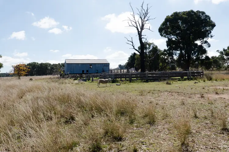 Second view of Homely rural property listing, "Glen Alvin" & "Lockyer", Elong Elong NSW 2831