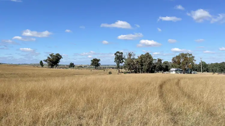 Fourth view of Homely rural property listing, "Glen Alvin" & "Lockyer", Elong Elong NSW 2831